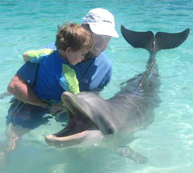 Dolphin Encounter