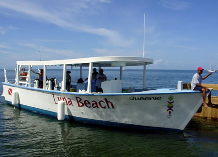 Dive Boat