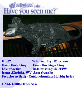 Where is the Ratt?