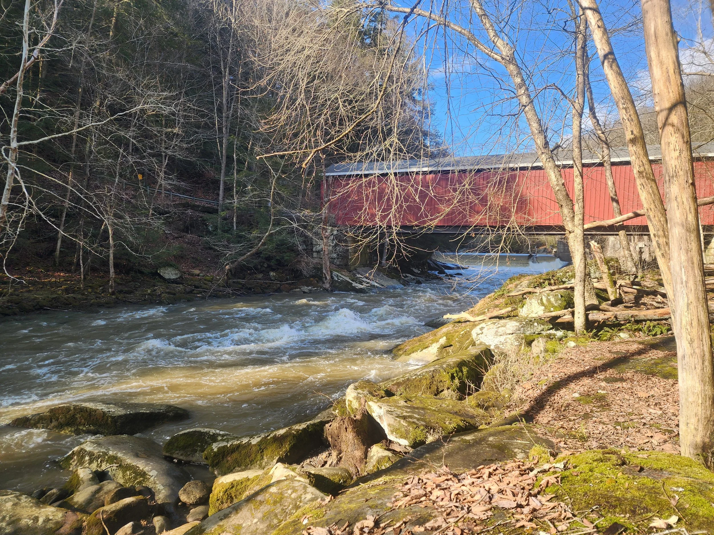 Slipping In To Spring