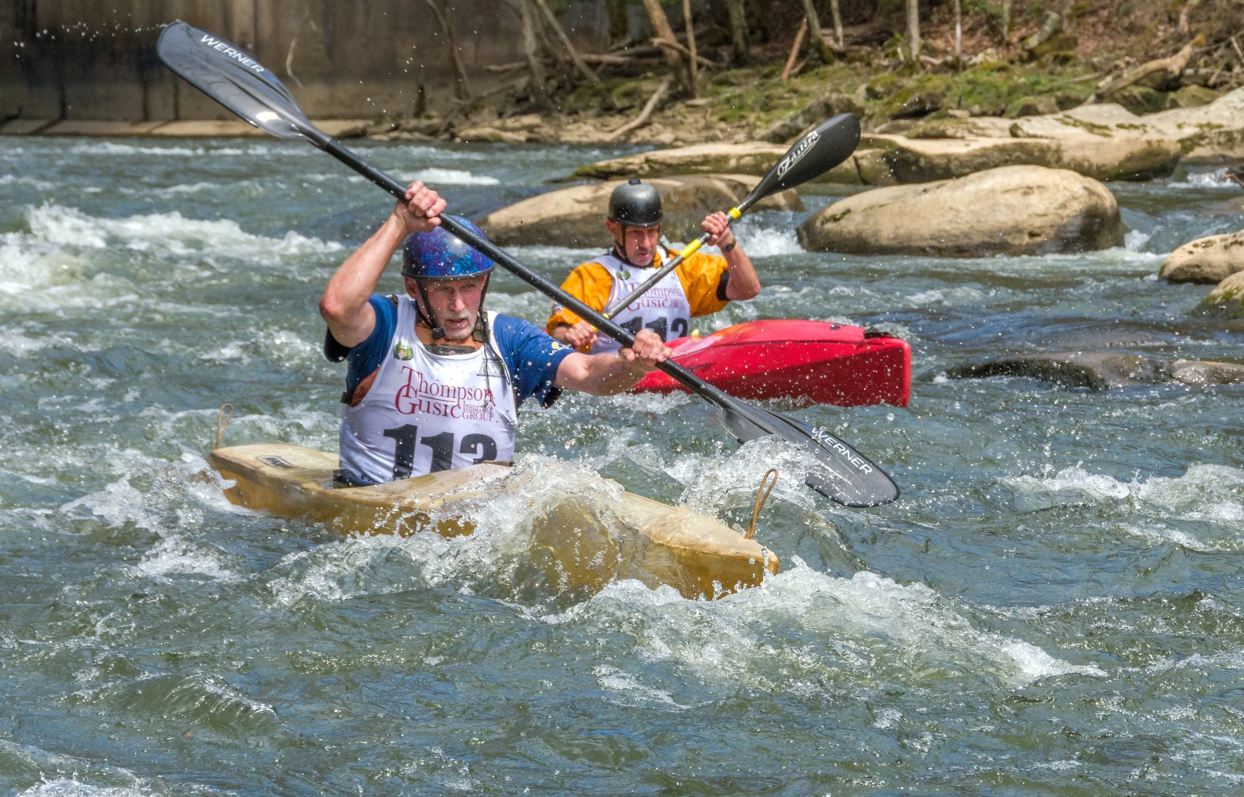 DSC_3313.jpg