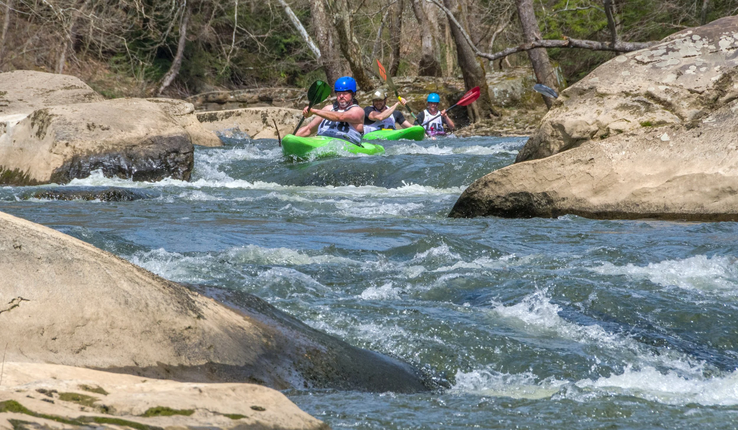DSC_3341.jpg