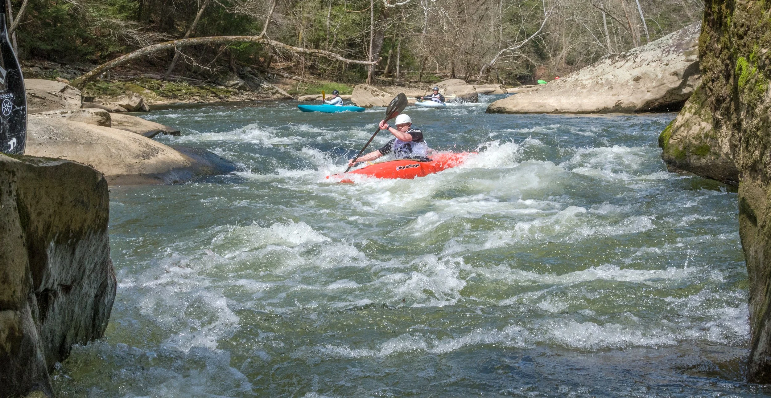 DSC_3473-Edit.jpg